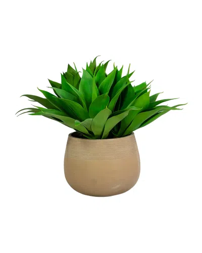 Winward Home 25" Aloe In Stonecast Planter In Green