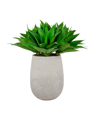 Winward Home 36" Aloe In Stonecast Planter In Green