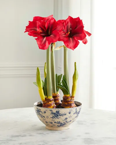 Winward Home Amaryllis In Ceramic Pot In Multi
