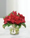 Winward Home Amaryllis In Round Vase In Red