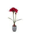 Winward Home Artificial Amaryllis Ceramic Pot