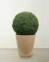 Winward Home Boxwood Ball In Planter In Green