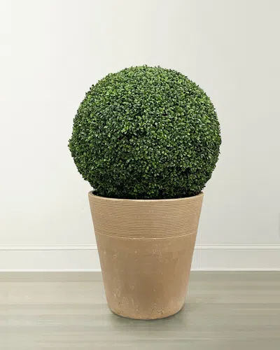 Winward Home Boxwood Ball In Planter In Green