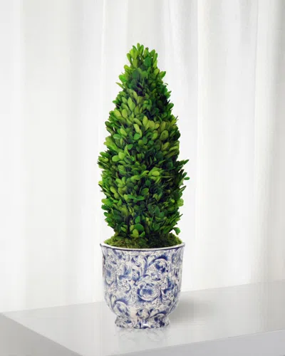 Winward Home Boxwood Cone Topiary In Cache Pot In Green