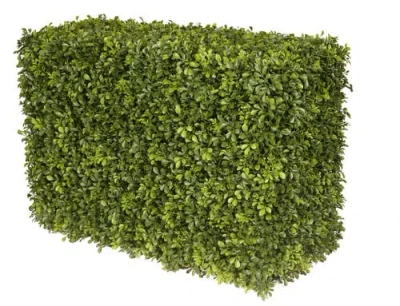Winward Home Boxwood Hedge In Green