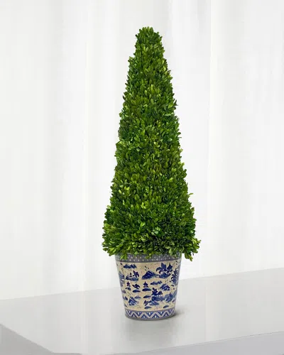 Winward Home Boxwood Tall Topiary In Multi