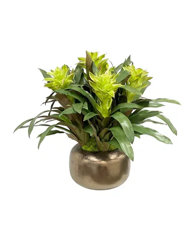 Winward Home Bromeliad Floral Arrangement In Artisanal Pot In Gold