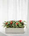 Winward Home Bromeliad Succulent 38" Faux Floral Arrangement In Fiberglass Planter In Green/red