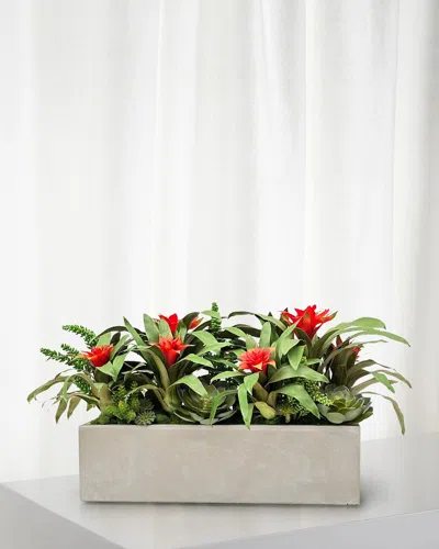 Winward Home Bromeliad Succulent 38" Faux Floral Arrangement In Fiberglass Planter In Green/red