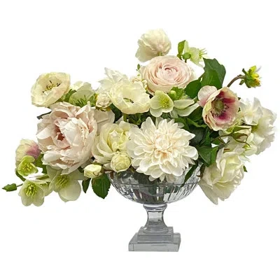 Winward Home Cafe Au Lait Combo In Cut Bowl In Ivory