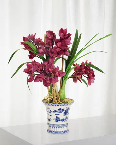 Winward Home Cymbidium In Oval Planter In Fuchsia