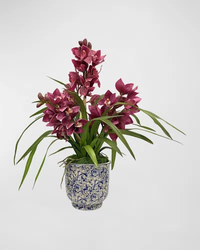 Winward Home Cymbidium Orchid In Cache Pot In Multi