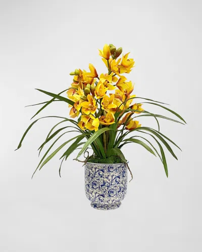 Winward Home Cymbidium Orchid In Cache Pot In Multi
