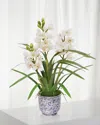 Winward Home Cymbidium Orchid In Cache Pot In Multi