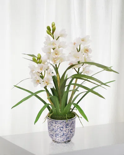 Winward Home Cymbidium Orchid In Cache Pot In Multi