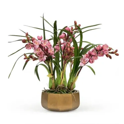 Winward Home Cymbidium Plant In Polygonal Pot In Purple