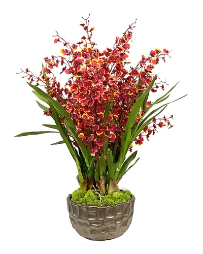 Winward Home Dancing Orchid In Modern Bowl In Burgundy