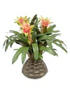 Winward Home Everyday Cache Pot Bromeliad