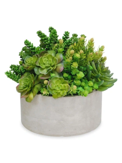 Winward Home Everyday Tall Garden Planter Succulent In Green/taupe