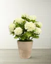 Winward Home Faux Hydrangeas In Planter In Blue