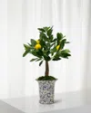 Winward Home Faux Lemon Tree In Ceramic Vase, 21" In Yellow