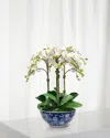 Winward Home Faux Orchid In Longlife Bowl In Blue/white