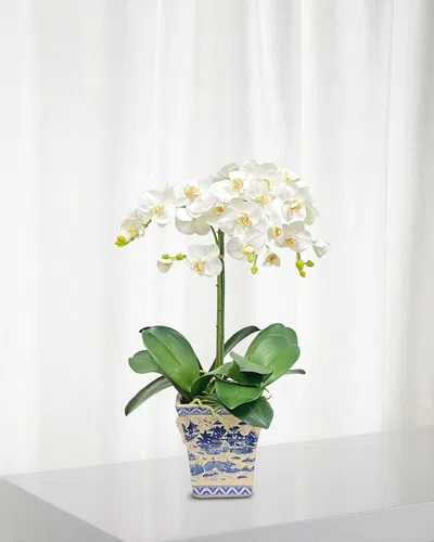 Winward Home Faux Phalaenopsis Orchids In Pot In White