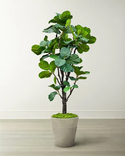 Winward Home Fiddle Leaf Tree In Planter, 96" In Multi