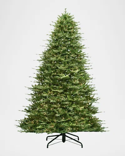 Winward Home Full St. Catherine 12' Pre-lit Christmas Tree In Green