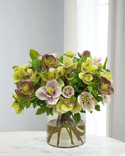 Winward Home Hellebores In Cylinder Vase In Multi