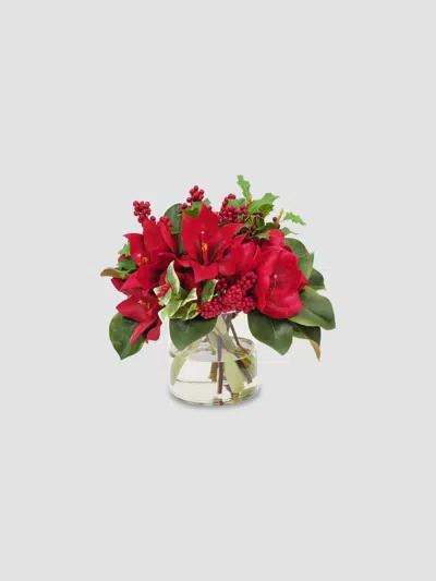 Winward Home Holiday Amaryllis & Holly In Vase In Multi