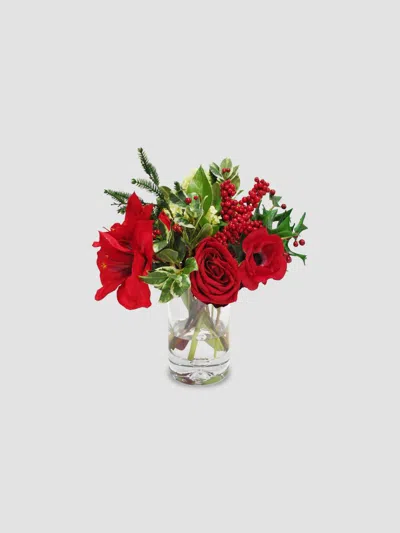 Winward Home Holiday Amaryllis Snowball In Vase In Multi