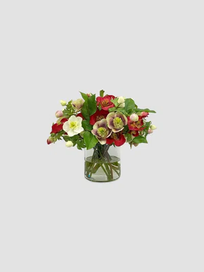 Winward Home Holiday Newness Faux Hellebores Arrangement In Multi