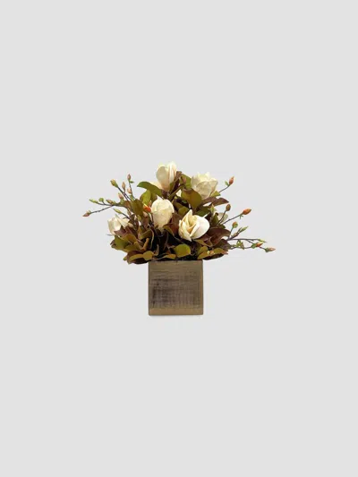 Winward Home Holiday Newness Faux Potted Tree Magnolia Arrangement In Brown