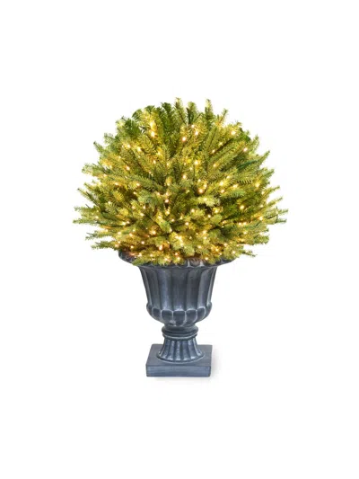 Winward Home Holiday Newness Faux Saint Catherine Ball Arrangement In Green