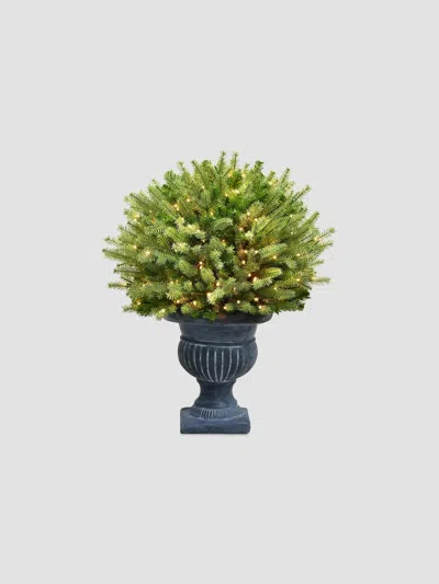 Winward Home Holiday Newness Faux Saint Catherine Ball Arrangement In Green