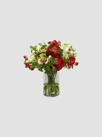 Winward Home Holiday Newness Faux-hellebores Arrangement In Multi