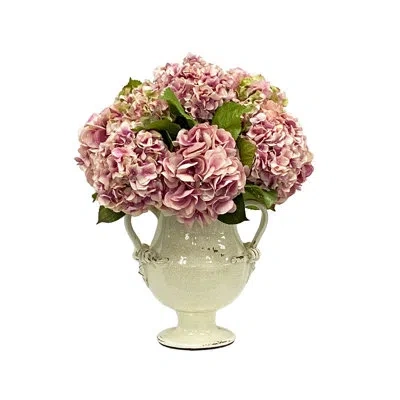 Winward Home Hydrangea In Pot