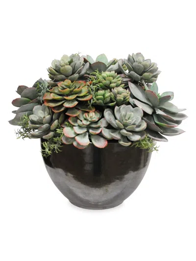 Winward Home Imitation Mix Succulent In Crete Bowl
