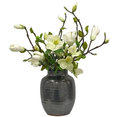 Winward Home Magnolia Berry In Pot