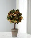 Winward Home Magnolia Leaf In Pot In Multi