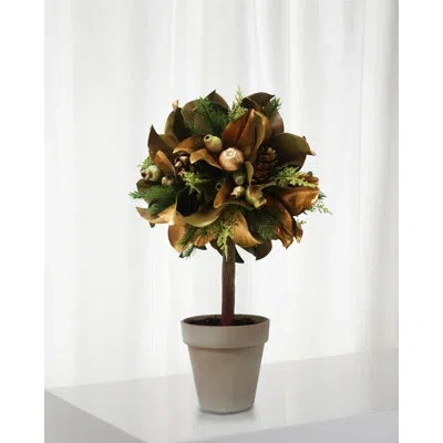 Winward Home Magnolia Leaf In Pot In Green