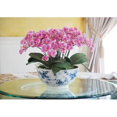 Winward Home Mini Orchid Centerpiece In Pot