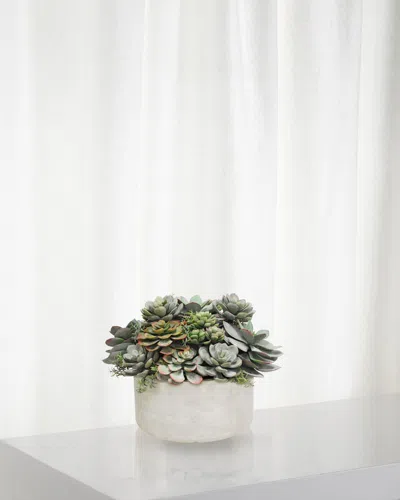 Winward Home Mix Succulent In Garden Planter In Green/taupe