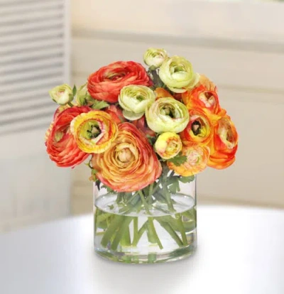 Winward Home Mixed Orange Ranunculus In Multi