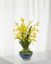Winward Home Oncidium In Longlife Bowl In Yellow