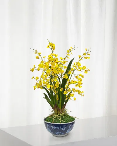 Winward Home Oncidium In Longlife Bowl In Yellow