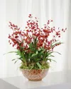 Winward Home Oncidium Orchid In Long Life Bowl In Purple