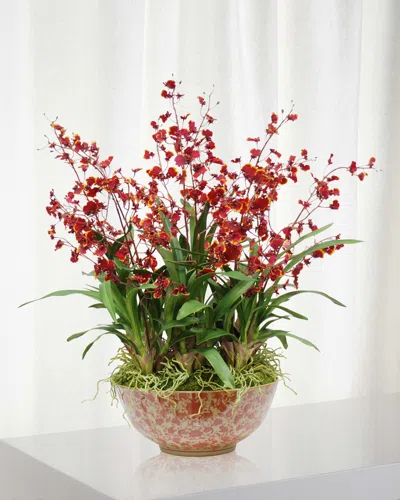 Winward Home Oncidium Orchid In Long Life Bowl In Burgundy