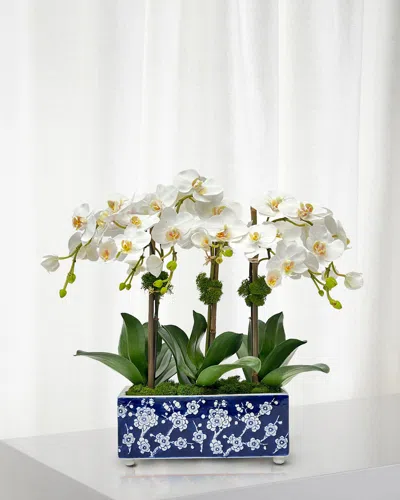 Winward Home Orchid 19" Faux Floral Arrangement In Longlife Porcelain Arranger In Two-tone White